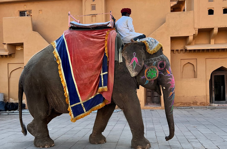 Jaipur Tuk Tuk Tour